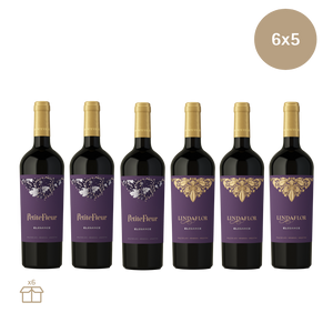 Pack Elegance Exclusivo