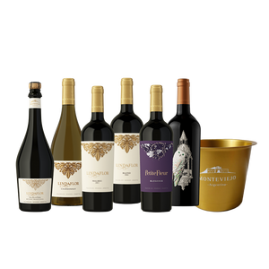 Pack Premium Exclusivo