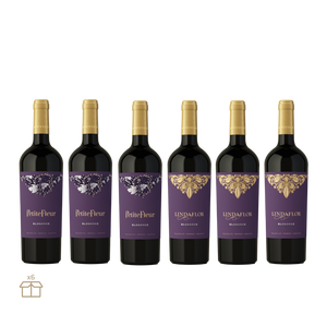 Pack Elegance Exclusivo