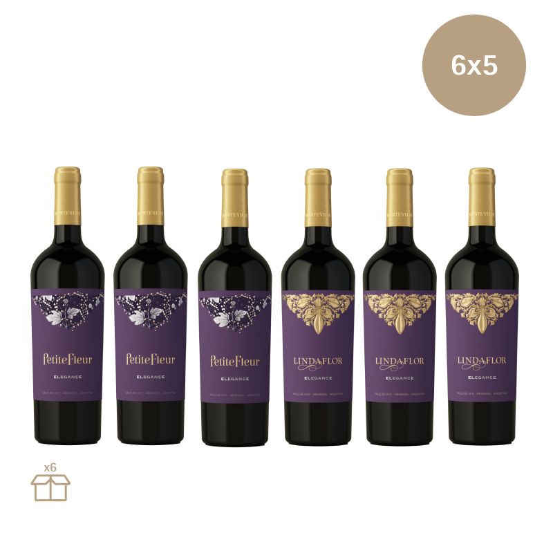 Pack Elegance Exclusivo