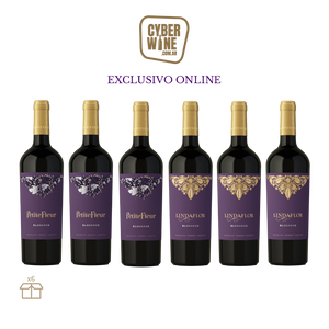 Pack Elegance Exclusivo