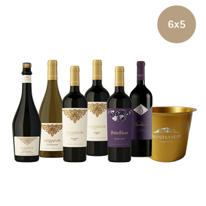 Pack Premium Exclusivo