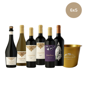 Pack Premium Exclusivo